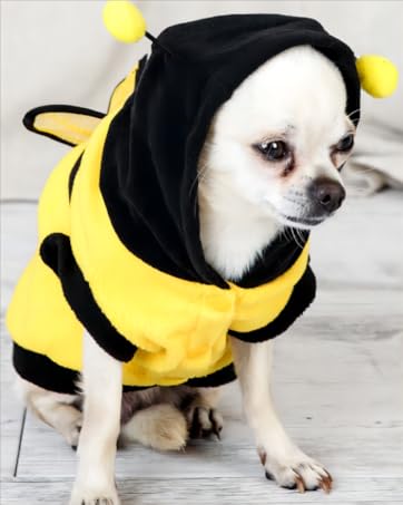 dog Costume
