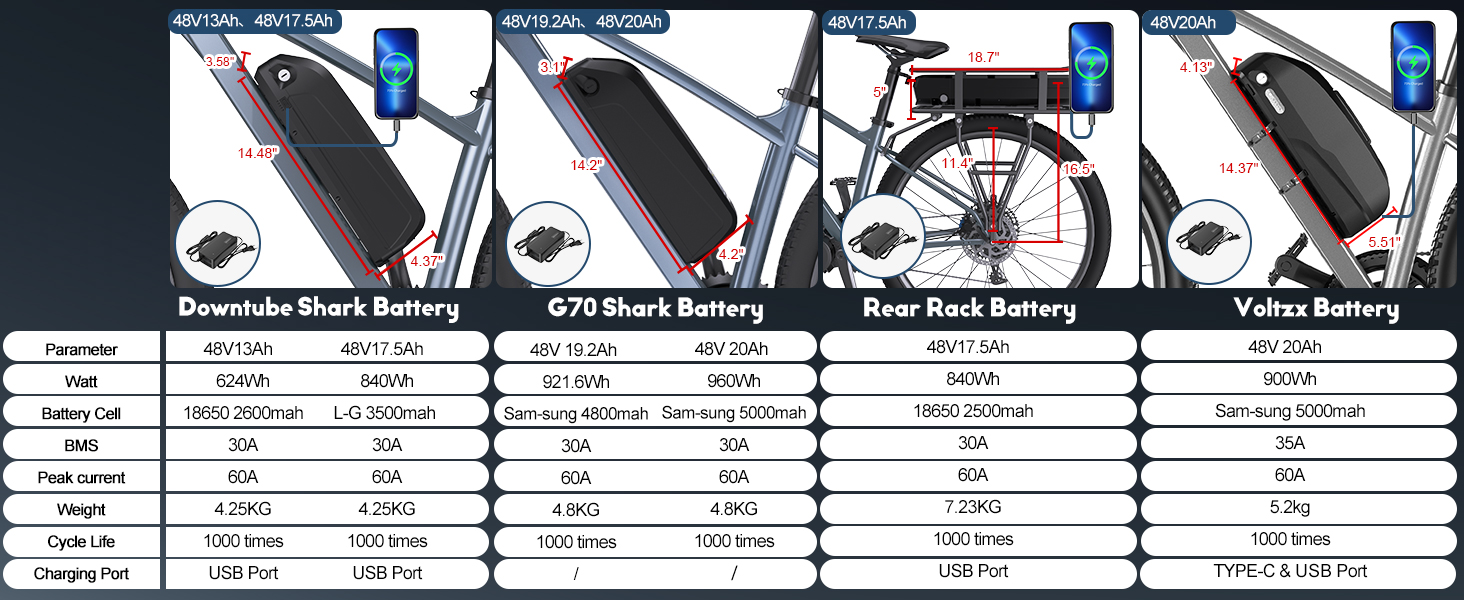 48V battery