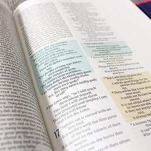 NIrV, Radiant Virtues Bible for Girls: A Beautiful Word Collection, Hardcover, Magnetic Closure