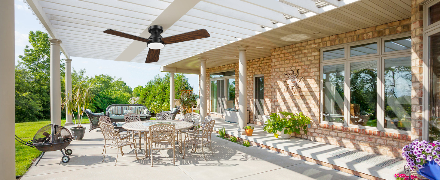Celling Fan