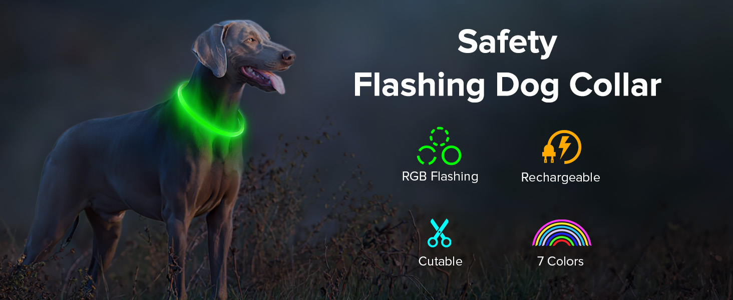 Sicherheitsblinkendes Hundehalsband mit grünem LED-Licht. Mit USB-Ladefunktion, wiederaufladbarem Akku, zuschneidbarer Größe und 7 Farboptionen. Nachts auf einem Hund abgebildet