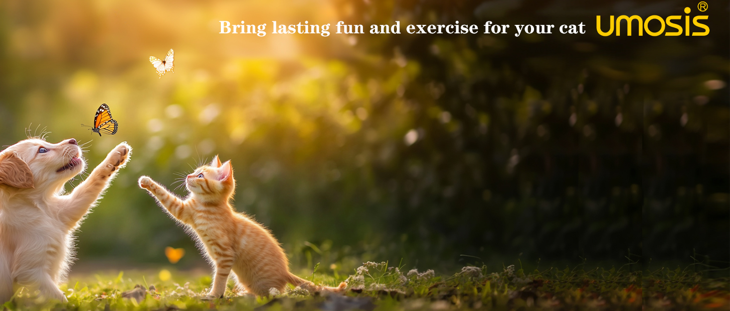 interactive cat toy