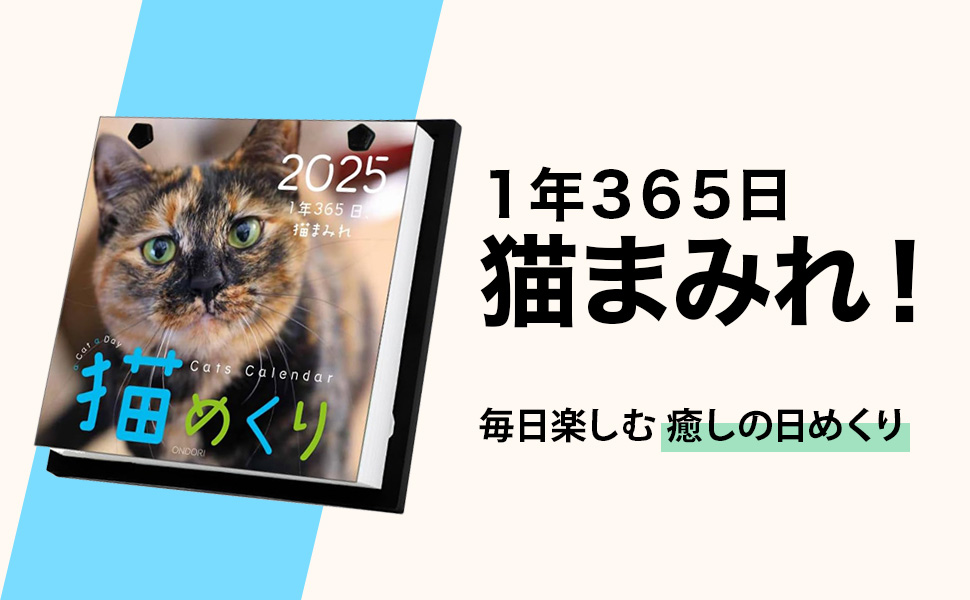 Amazon | 猫めくり 2025年 カレンダー リフィル 日めくり CK-C25