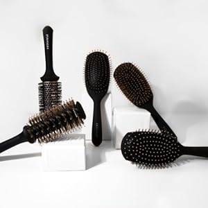 brosse en poil de sanglier