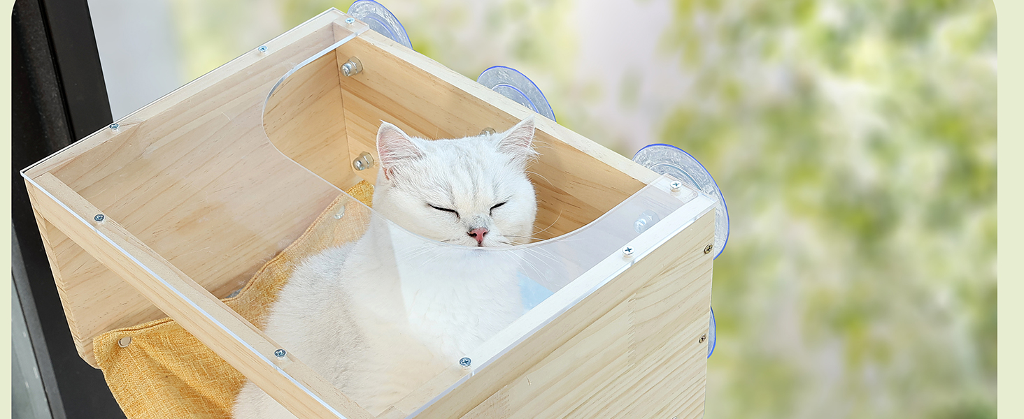 Cat Window Bed with Clear Acrylic Perch, Cordless Cat