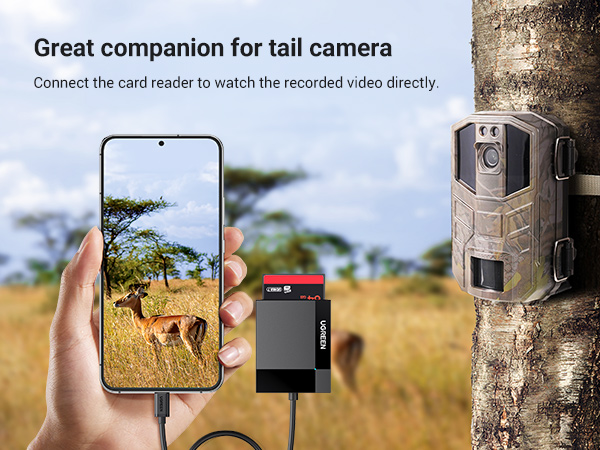 sd card reader