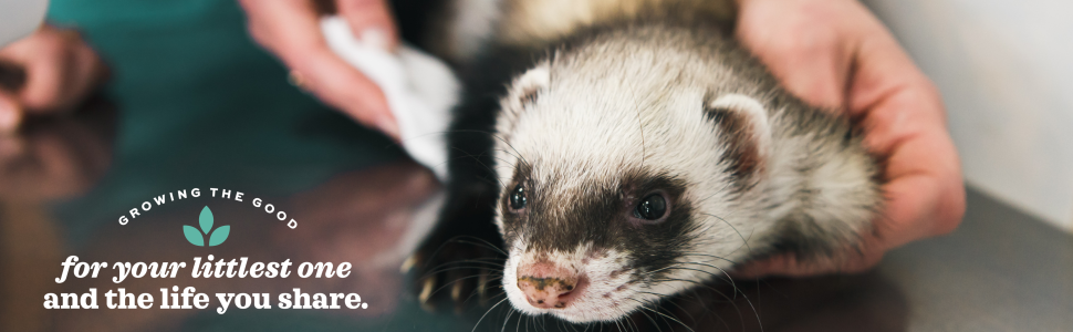 Large manufacture image 3