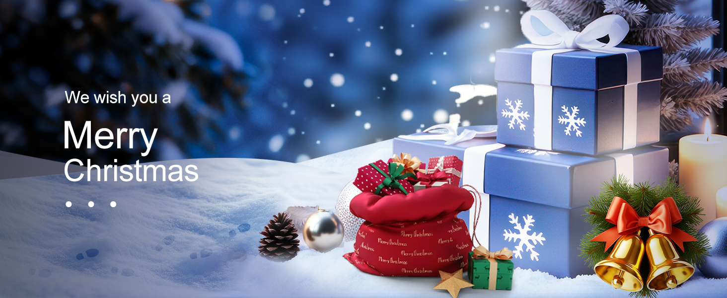Merry Christmas