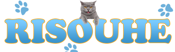 猫の爪クリッパーズグルーミングハンモック