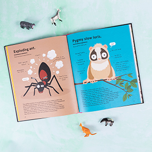 Small manufacture image 3