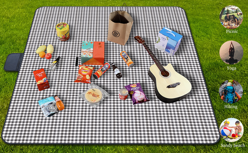 Picnic scene on checkered blanket featuring acoustic guitar, toys, and various items spread out on grass, with circular profile icons along the side.