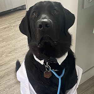 Dr. Brahmsy is a real dog.