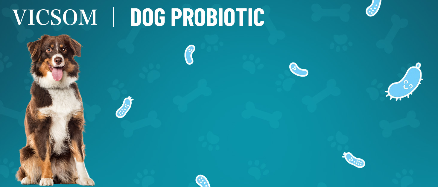dog probiotics