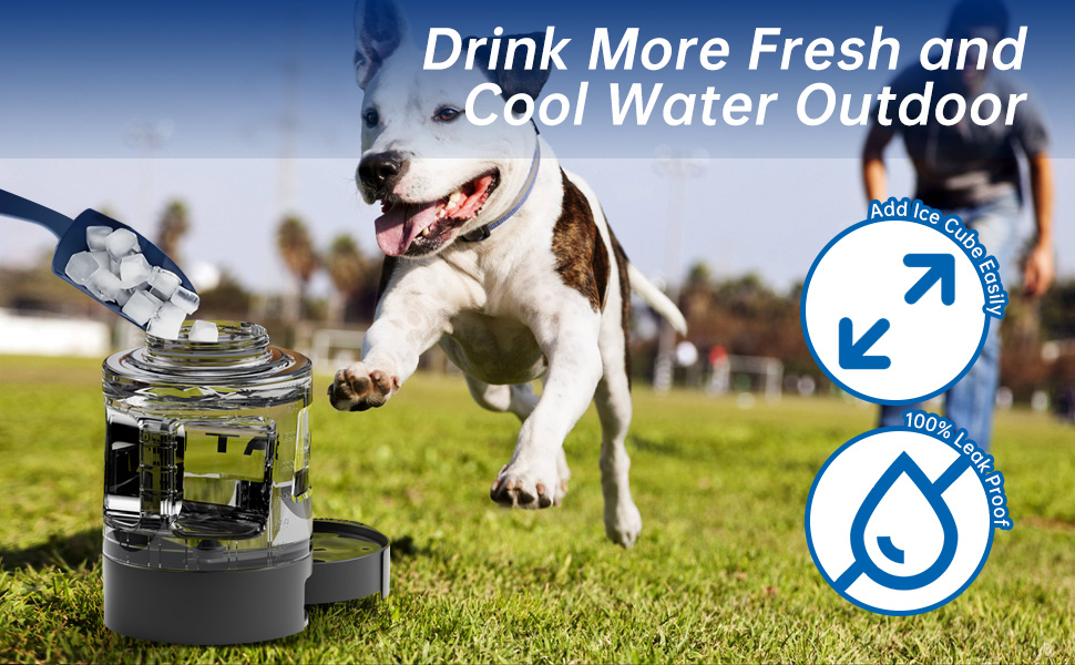 77oz Portable Dog Water Bottle, Camping Essentials, Large