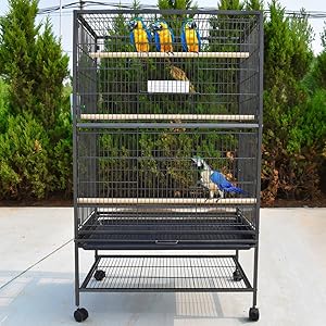 ein großer Vogelkäfig mit drei großen Vögeln