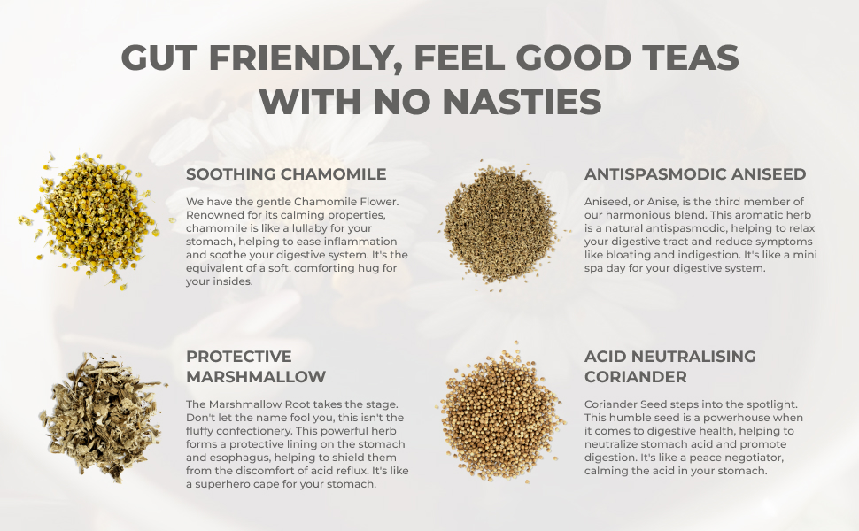 Mojo & Melo Organic Stomach Relief Tea Relieves Heartburn, Acid