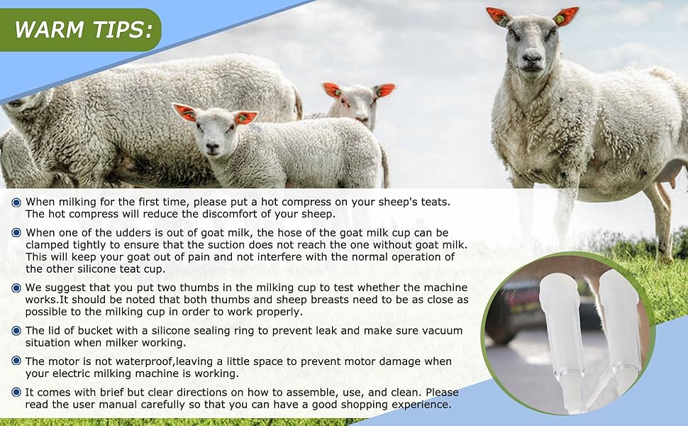 Large manufacture image 5