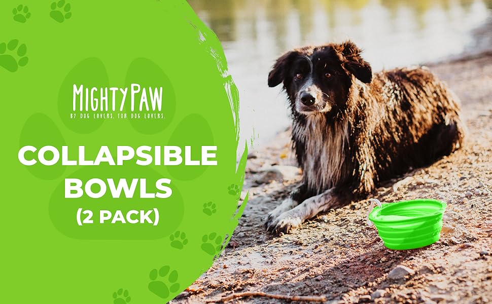bowl, dog, pet, adventure, travel, collapsible
