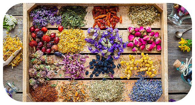 Delightful Fragrances