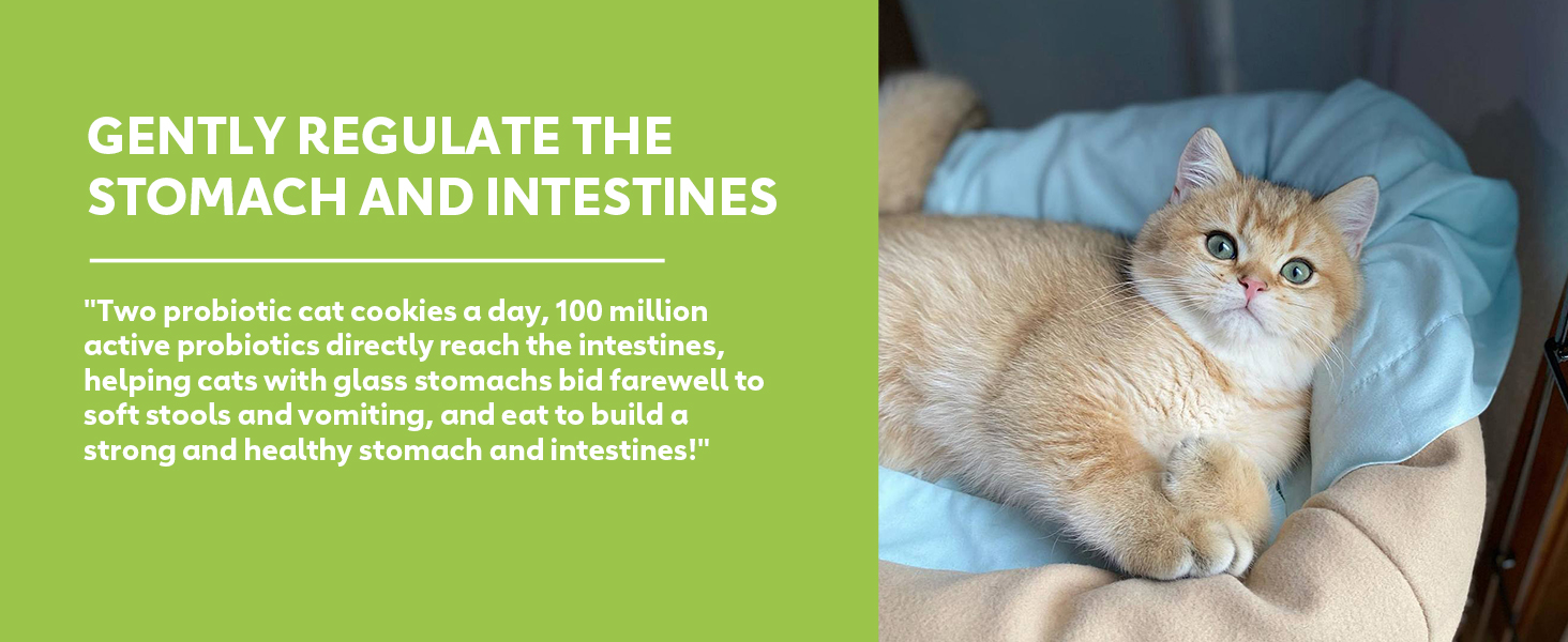 cat probiotics for indoor cats