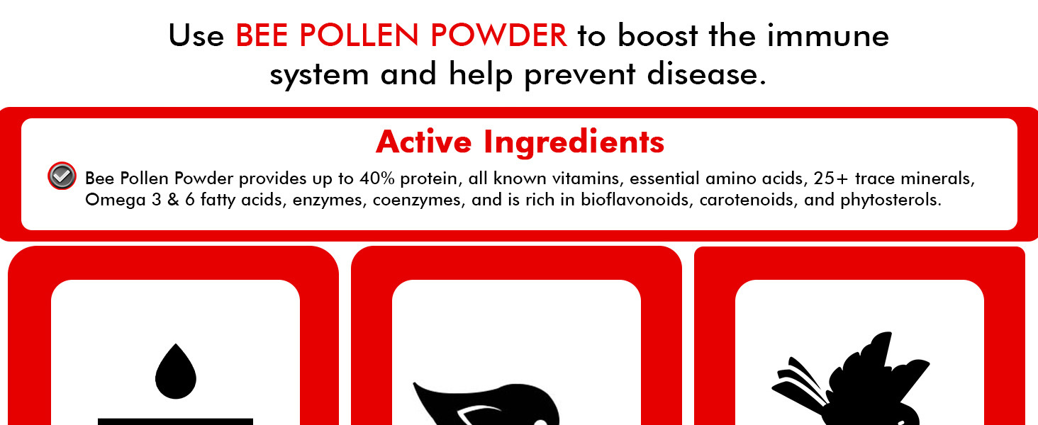 bird vitamins and supplements bird for cardinals finches high protein