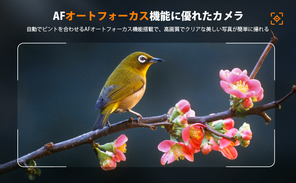 Lecnippy 5K デジタルカメラ 5600万画素 Amazon | Lecnippy 5K デジタルカメラ 光学10倍ズーム 5600万