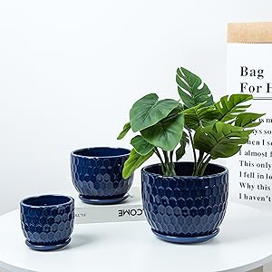 Ceramic Flower Pots with Drainage Hole and Saucer