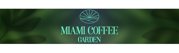 Miami’s Flavor in Every Sip, Let the Breeze Take You