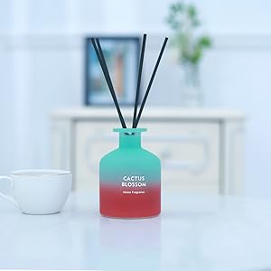 Oil reed diffuser set with fragrance sticks diffuser