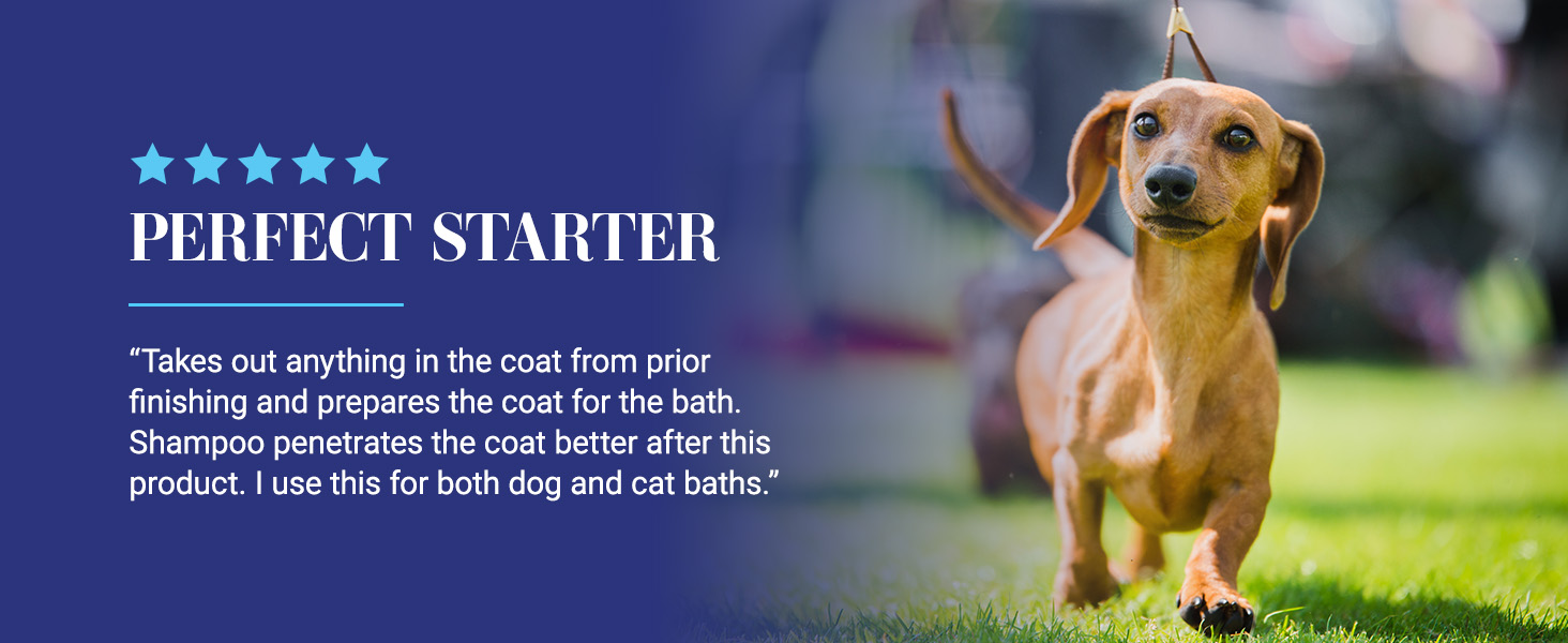 Review of Chris Christensen Clean Start Shampoo - perfect starter to prepare the coat