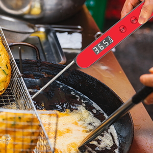 Long handle and thermoprobe