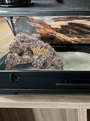 Terrarium Habitat Cave