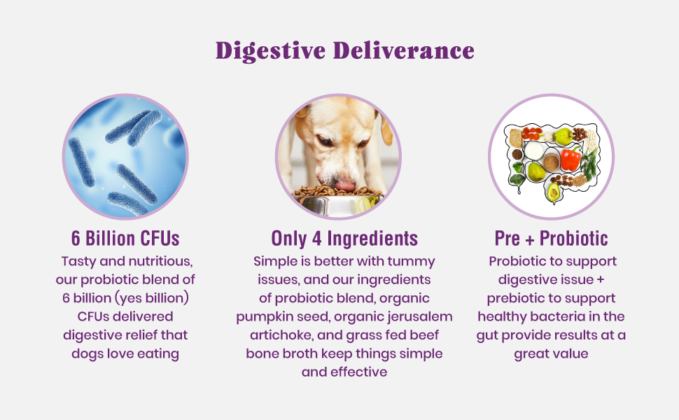 support small chews puppies vet digestion allergy stomach good constipation naturals day only