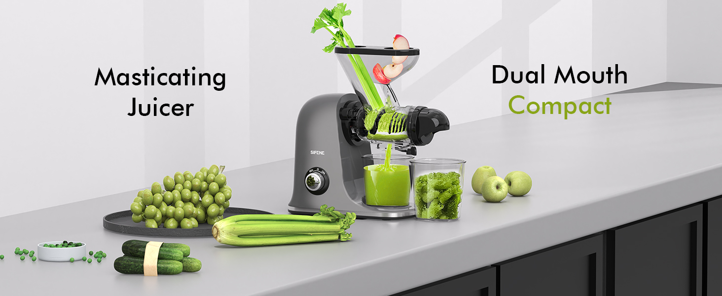 cold press juicer compact easy to use easy to clean 3304