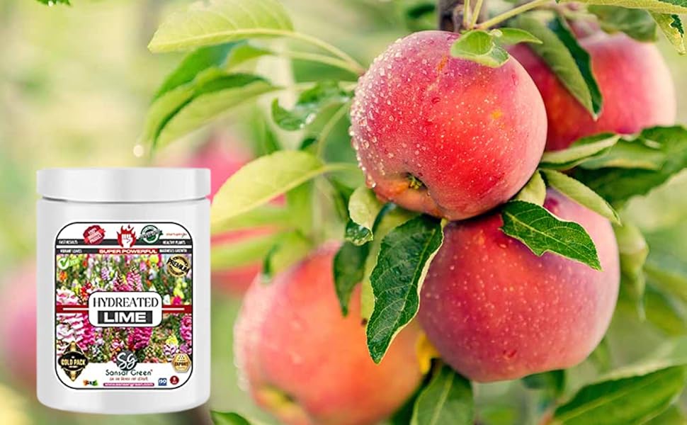 Sansar Green® Hydrated Lime for the Growth of Plants Essential (200 gm