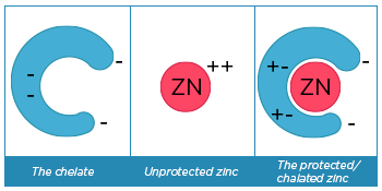 zinc supplements zinc zinc tablets zinc bisglycinate zinc supplement chelated zinc zinc 25mg