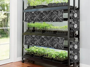 rack cooling fan 120mm computer fan with speed controller for grow tent ventilation