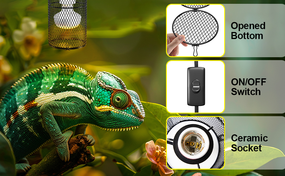 reptile heat lamp
