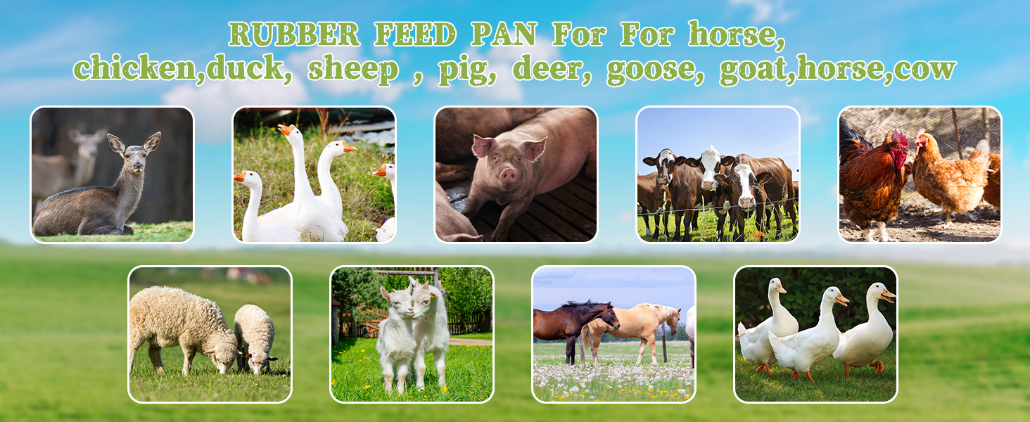 Rubber Feed Pan