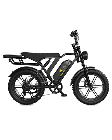 E Bike Mountain Bike Fat Bike 20 Inch Electric Bicycle Men Women Electric Bicycle