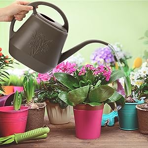 watering can