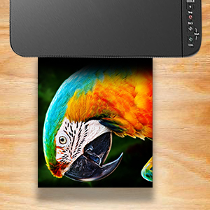 Small manufacture image 1