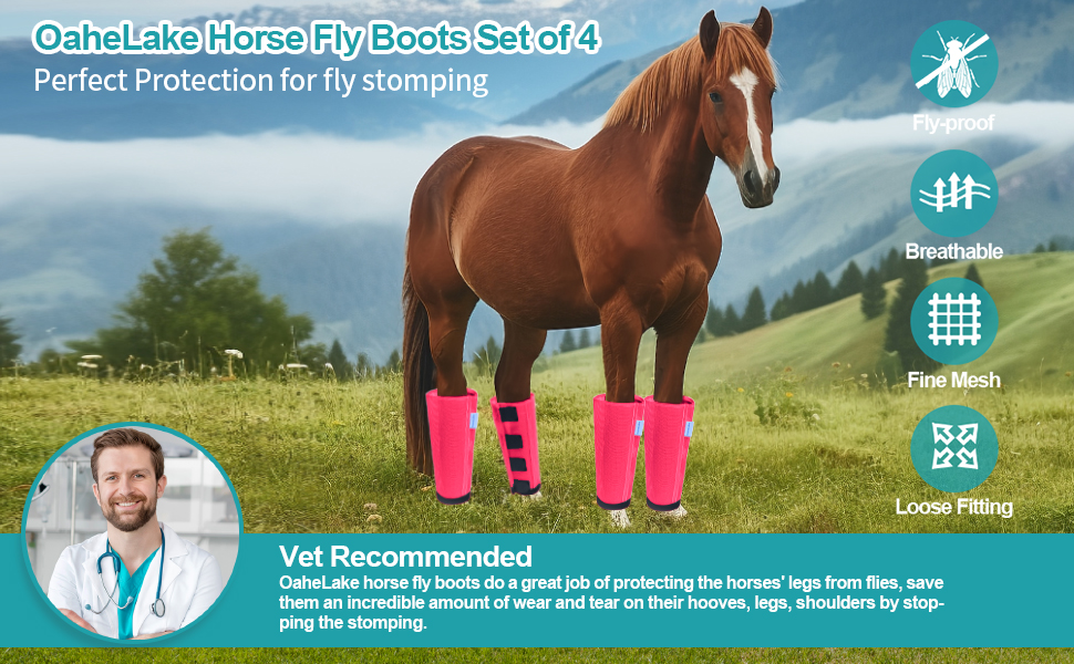 shoo fly boots for horses shoo fly leggings for horses mini horse fly boots pony fly boots