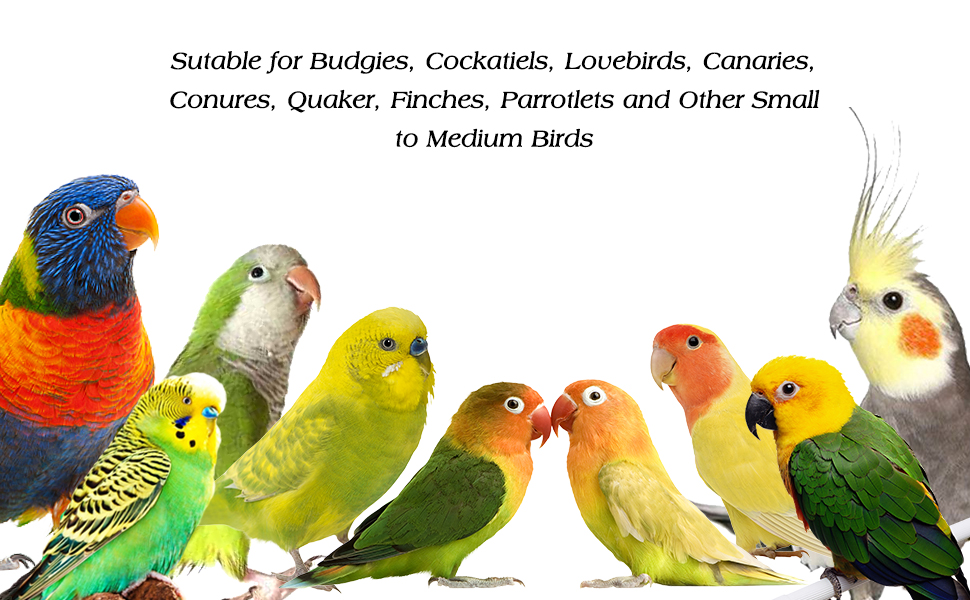 Chewing Toys for Budgies, Cockatiels, Lovebirds, Canaries, Conures, Quaker