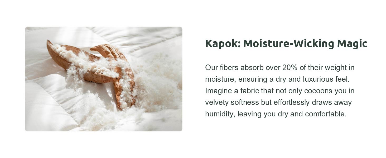 REWARDOWN Kapok Down Comforter Queen Size, Recycled White