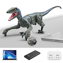 Raptor toys
