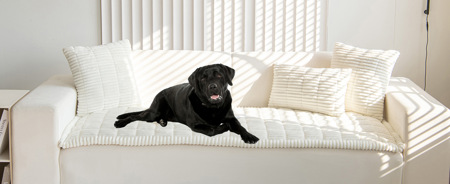 white couch cover
