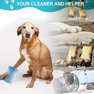 Pet cleaning kit