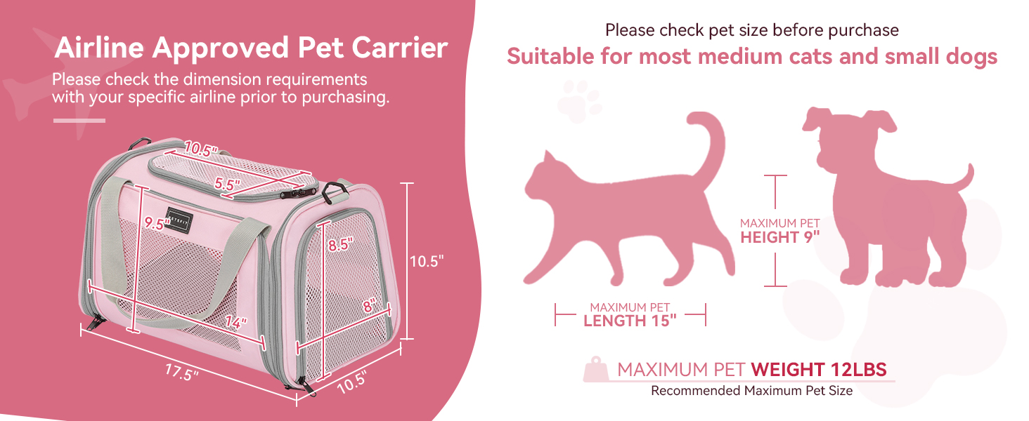 cat carrier