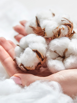 100% Egyptian Cotton